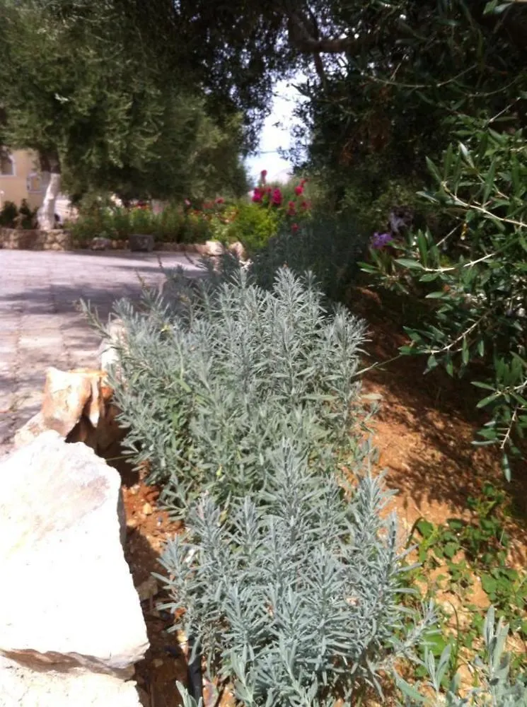 Liostasi Retreat Apartment Argostoli  Greece